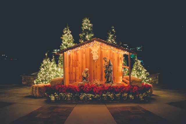 decoração ao ar livre com o cenário do presépio, iluminado, com árvores de natal ao fundo e flores do Natal à frente.